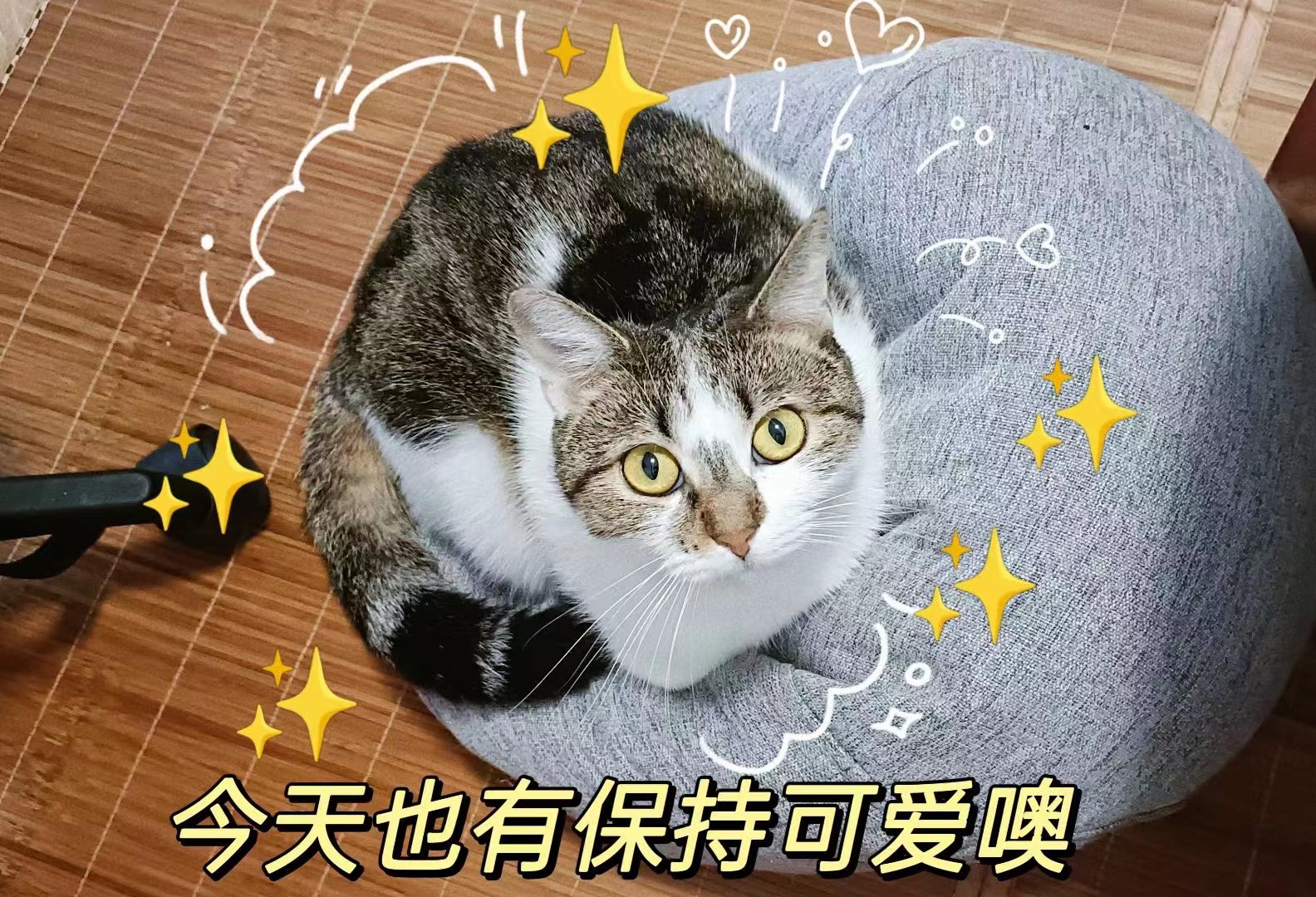 NG体育 - NG SPORTS官方平台 - 赛程比分